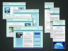 NOVO Renewing Joy In Life – GetBrainChange.com | Website Design | St Charles IL