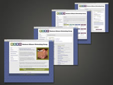 Business Alliance Networking Group – NetMoreBiz.com | Website Design | Elburn IL